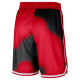 Nike Ανδρικό σορτς Dri-FIT Chicago Bulls NBA Courtside 8'' Shorts